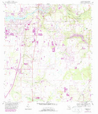 Riverview 1956 topographic map thumbnail