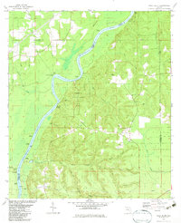 Rock Bluff 1982 topographic map preview
