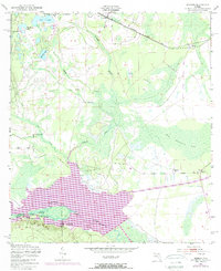 Rodman 1949 topographic map preview