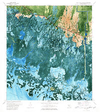 Royal Palm Hammock 1973 topographic map thumbnail