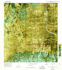 Royal Palm Ranger Station SE 1967 topographic map thumbnail