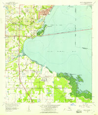 Safety Harbor 1956 topographic map thumbnail