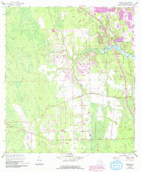 Samsula 1952 topographic map thumbnail