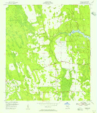 Samsula 1952 topographic map thumbnail