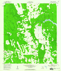 Samsula 1952 topographic map thumbnail