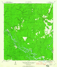 Sanborn 1945 topographic map thumbnail