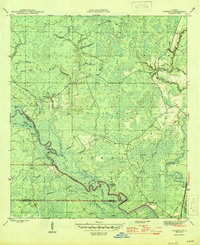 Sanborn 1945 topographic map thumbnail