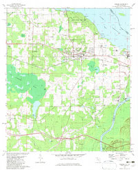 Sneads 1982 topographic map preview