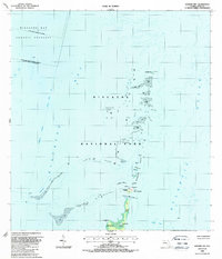 Soldier Key 1988 topographic map thumbnail