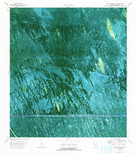 South of Deem City 1973 topographic map thumbnail