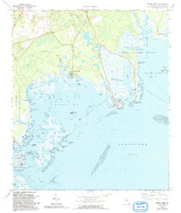Spring Creek 1972 topographic map thumbnail