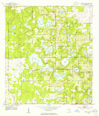 Spring Lake 1954 topographic map preview