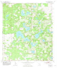 Spring Lake 1954 topographic map preview