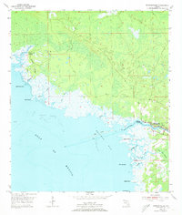 Steinhatchee 1954 topographic map preview