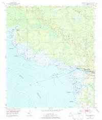 Steinhatchee 1954 topographic map preview