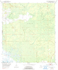 Steinhatchee SE 1954 topographic map thumbnail