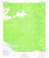 Steinhatchee SE 1954 topographic map preview