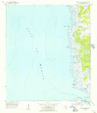 Steinhatchee SW 1954 topographic map thumbnail