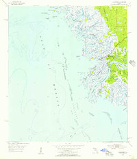 Suwannee 1954 topographic map thumbnail