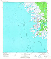 Suwannee 1954 topographic map thumbnail