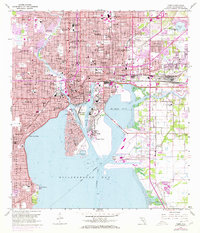 Tampa 1956 topographic map thumbnail