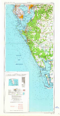Tampa 1960 topographic map thumbnail