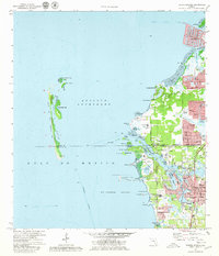 Tarpon Springs 1973 topographic map thumbnail