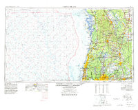 Tarpon Springs 1955 topographic map thumbnail