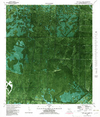 Tates Hell Swamp 1981 topographic map thumbnail