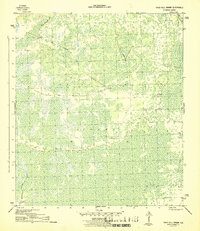 Tates Hell Swamp 1945 topographic map preview