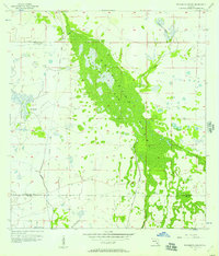 Telegraph Swamp 1956 topographic map thumbnail