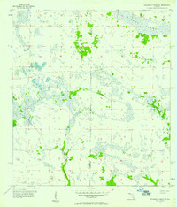 Telegraph Swamp NE 1956 topographic map thumbnail