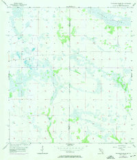 Telegraph Swamp NE 1956 topographic map thumbnail
