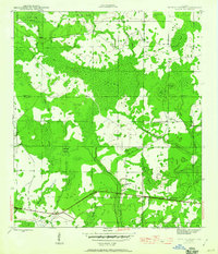 Tenmile Swamp 1945 topographic map thumbnail