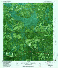 Tenmile Swamp 1982 topographic map thumbnail