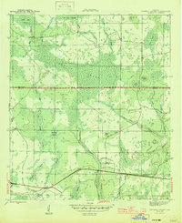 Tenmile Swamp 1945 topographic map thumbnail