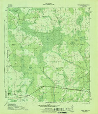 Tenmile Swamp 1945 topographic map thumbnail