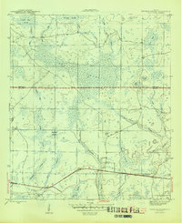 Tenmile Swamp 1945 topographic map thumbnail