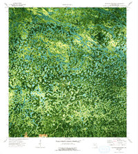 Thompson Pine Island 1974 topographic map thumbnail