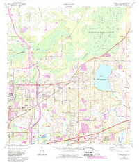 Thonotosassa 1974 topographic map thumbnail