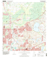 Thonotosassa 1995 topographic map thumbnail