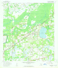 Thonotosassa 1943 topographic map thumbnail