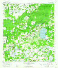 Thonotosassa 1943 topographic map thumbnail