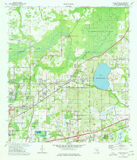 Thonotosassa 1974 topographic map thumbnail