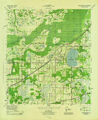 Thonotosassa 1944 topographic map thumbnail