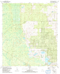Tidewater 1991 topographic map thumbnail