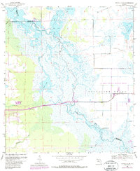Titusville SW 1953 topographic map thumbnail