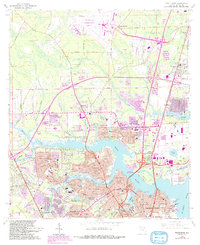 Trout River 1964 topographic map thumbnail