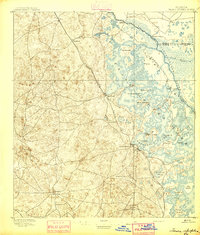 Tsala Apopka 1895 topographic map thumbnail