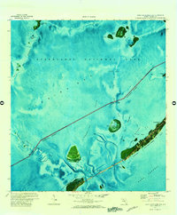 Upper Matecumbe Key 1971 topographic map thumbnail